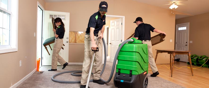 Central Minneapolis, MN cleaning services